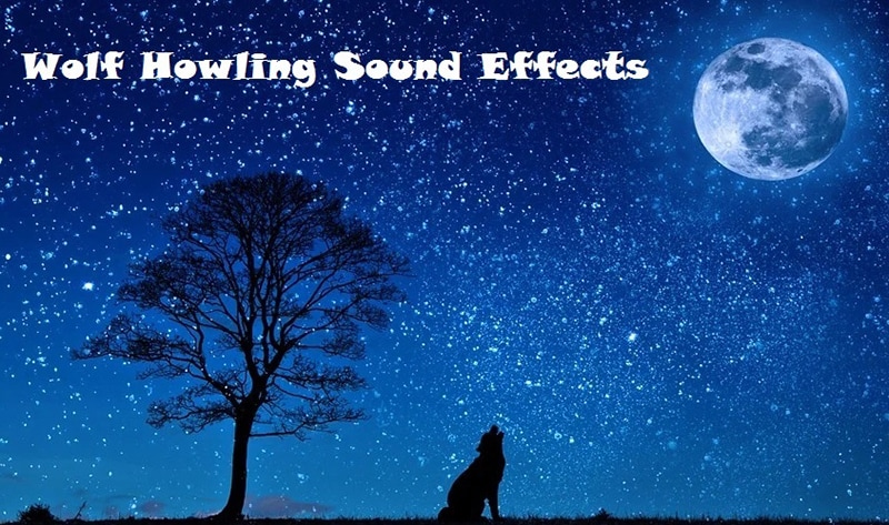 wolf howling sound effect