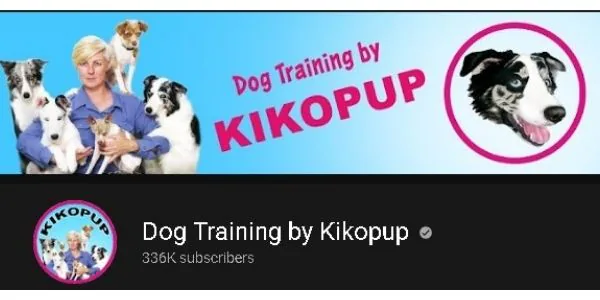 Hundetrainingsvideo auf youtube