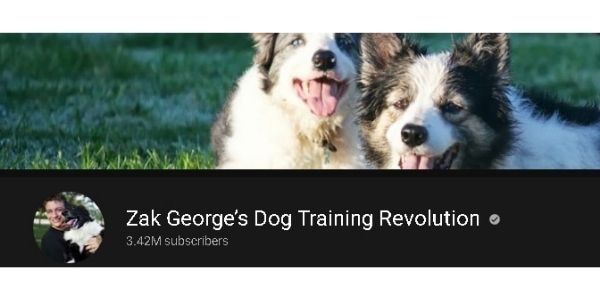 vídeo youtube entrenamiento canino