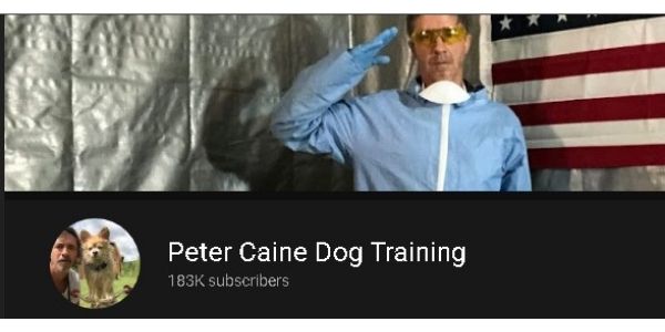 vídeo youtube entrenamiento canino - Peter Caine