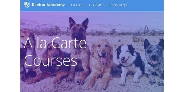 vídeo youtube de entrenamiento canino - Dr. Dunbar