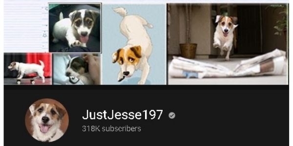 dog training video youtube - Just Jesse