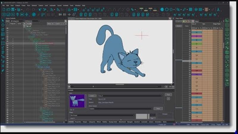 What is the best 2D animation software Experts choice  CG Spectrum
