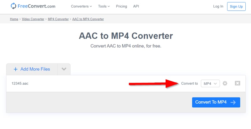 Set AAC to Convert to MP4