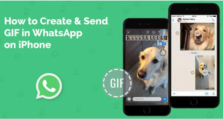 Crea e invia GIF WhatsApp su iPhone