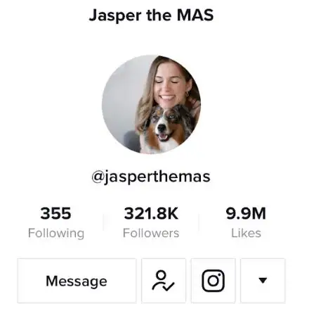 funny tiktok dog account - Jasper the mas