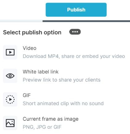 Wave.video- GIF Publishing Interface