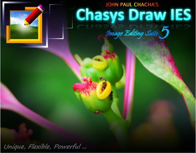 Chasys Draw IES Artist GIF Creator