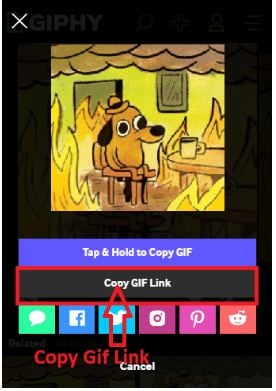Sitio oficial de Giphy - Opción "Pegar URL"