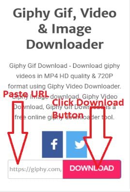 Sitio oficial de Giphy - Opción "Descargar video".