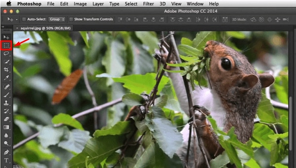 how to blur a part of image using photoshop