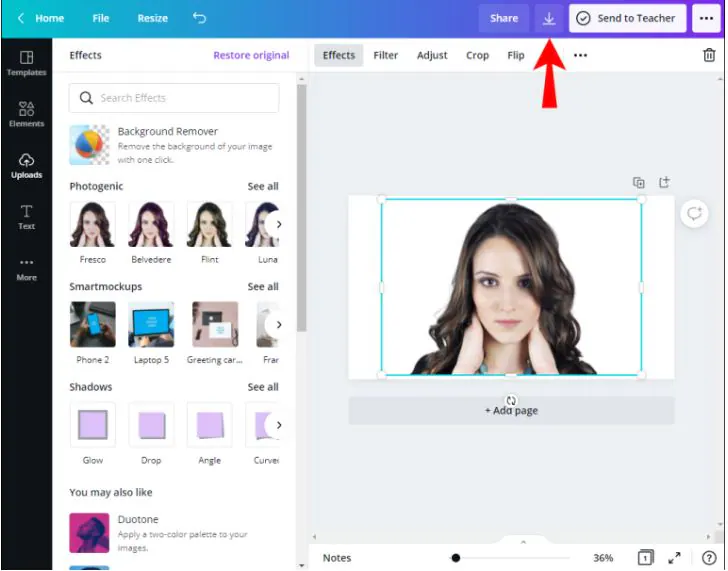 Herramienta de diseño gráfico de Canva: interfaz para guardar imágenes