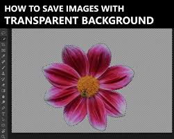 Save a Picture with a Transparent Background