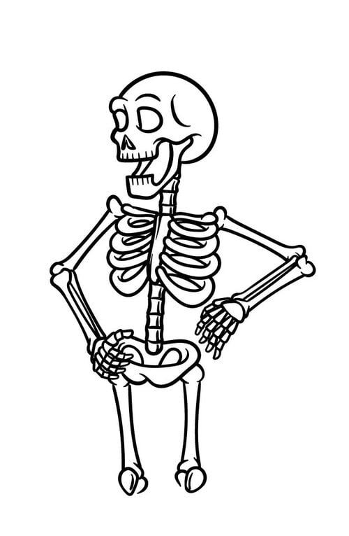 14,373 Halloween skeleton drawing Vector Images | Depositphotos