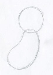 disegna un cerchio