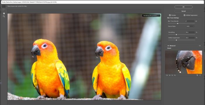 use shake reduction in photoshop - Preview the Image