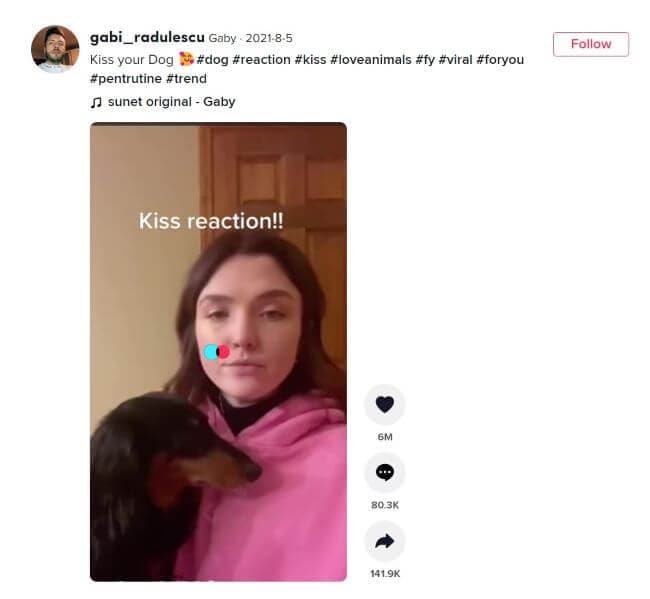 best tiktok reaction video - kiss your dog