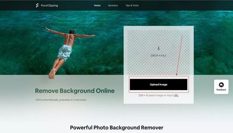 Top 10 Best Transparent Image Editor in 2022