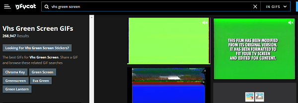 vhs risorsa schermo verde - Gfycat