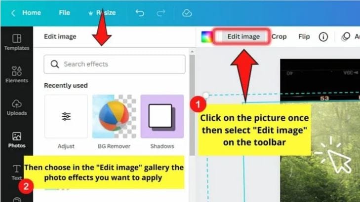 Canva Animated Slideshow Creator- Image Customization