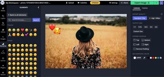 Online Utilities to Add Emojis to Photos- Kapwing