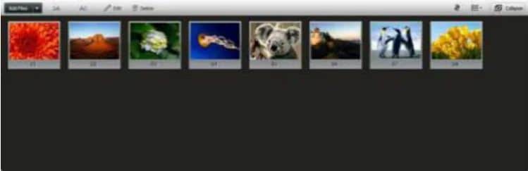 DVD Slideshow Builder Deluxe- Slide Sequence Arrangement