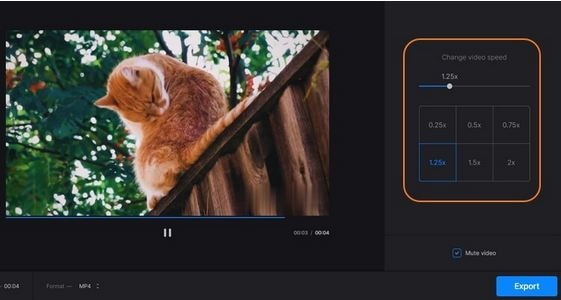 Speeding Up TikTok Videos With Clideo Online Tool- Changing the TikTok
        Video Speed