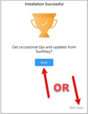 Adding Emojis to iPhone Via SwiftKey Keyboard- 'Installation Successful'
        Window