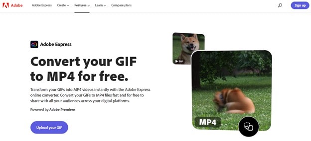 adobe premiere pro gif to video converter
