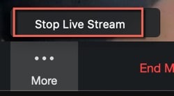 stop the live stream