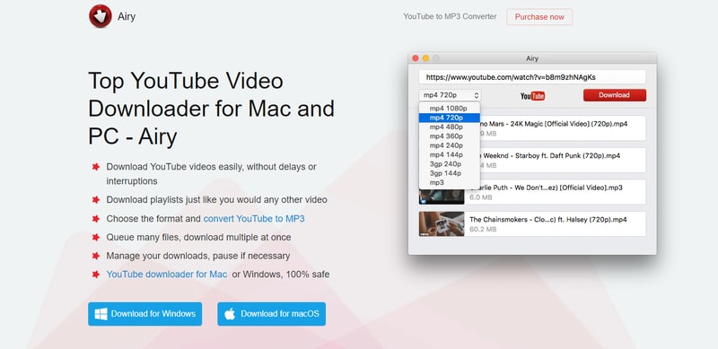 Airy Video Downloader