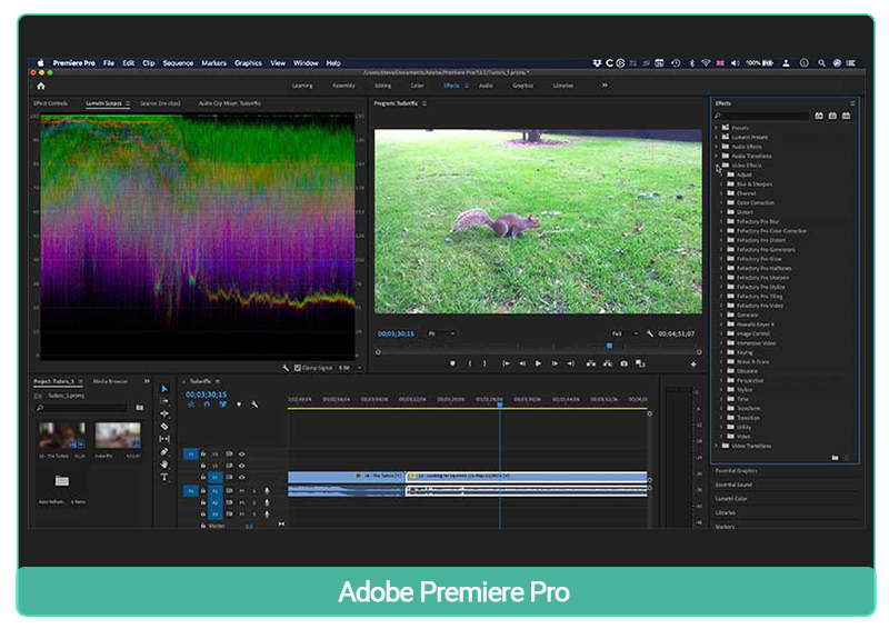 Adobe Premiere Pro