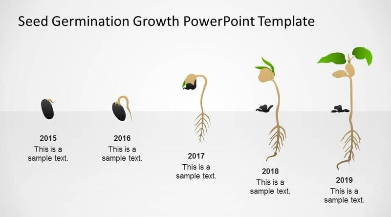 Seed Germination Growth PowerPoint Template