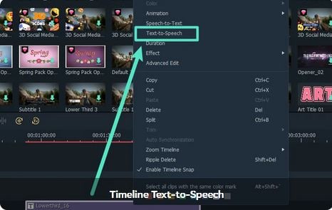 Selecting the Text to Speech Functionality- Using the Right Mouse Click