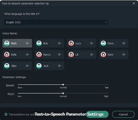 Text to Speech Parameter Settings Interface