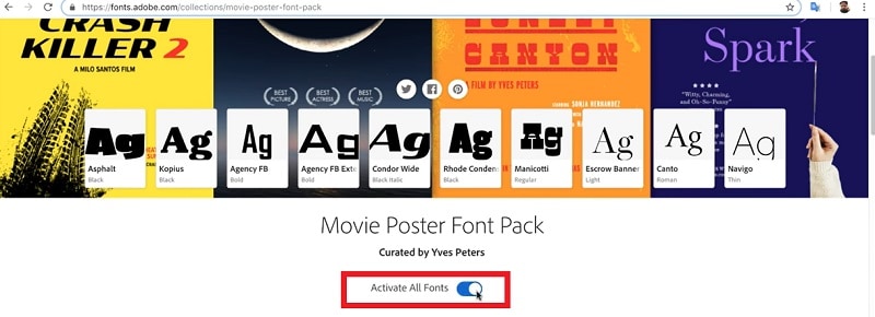 activitate all fonts after effects
