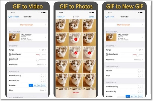 GIF in Video für Instagram umwandeln mit GIF Cracker