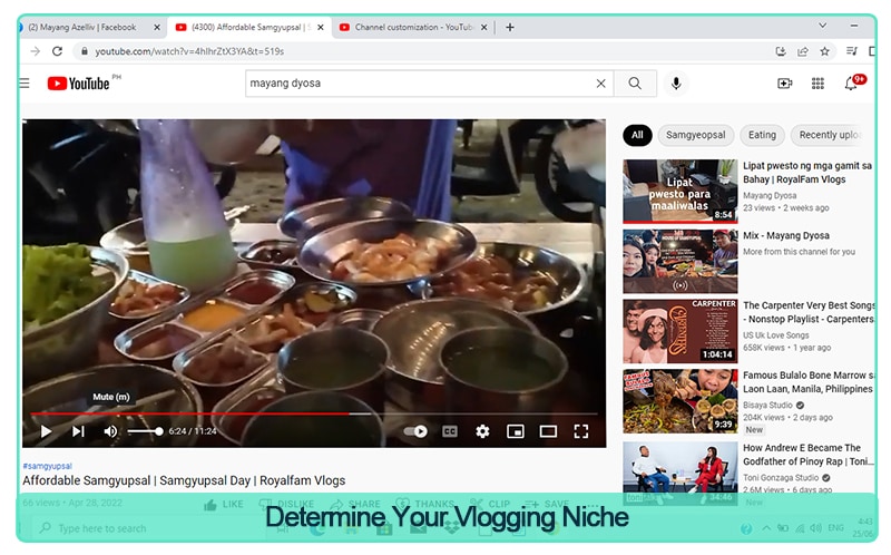 Determine Your Vlogging Niche