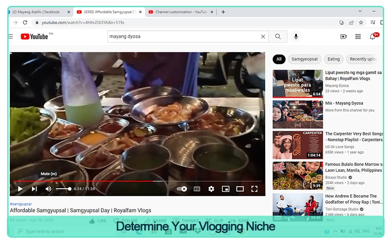 Determine seu nicho para o vlog