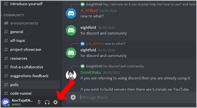 come ingrandire discord