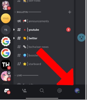 how to zoom in discord