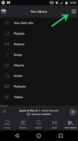 premere impostazioni app spotify