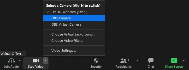 how to enable and use obs zoom camera