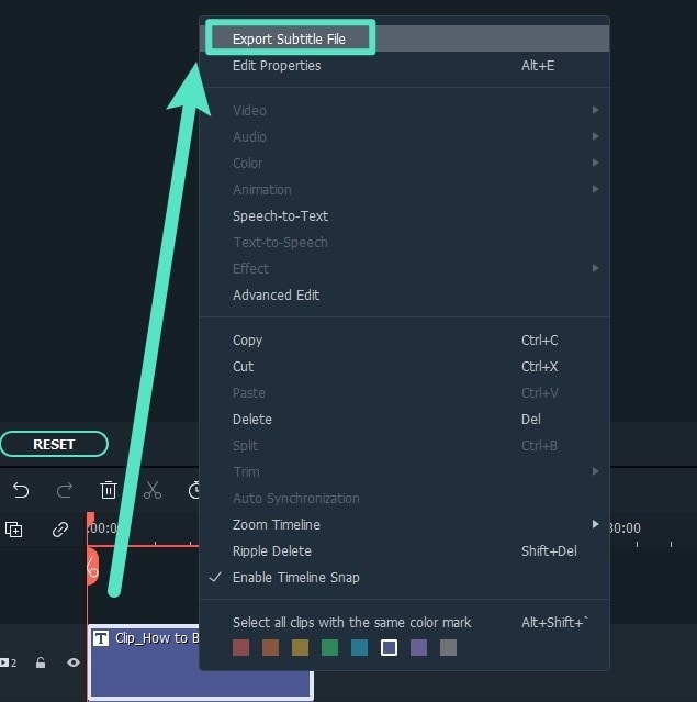 premere su esporta file di sottotitoli