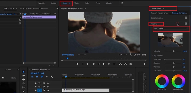 add filters to video premiere