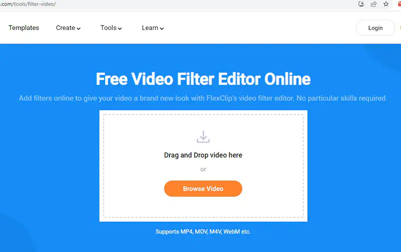 editor de filtros de video flexclip