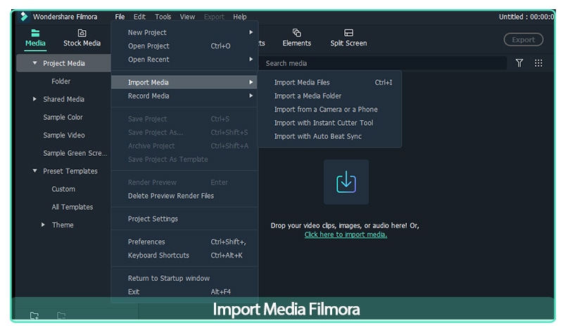 import your media files