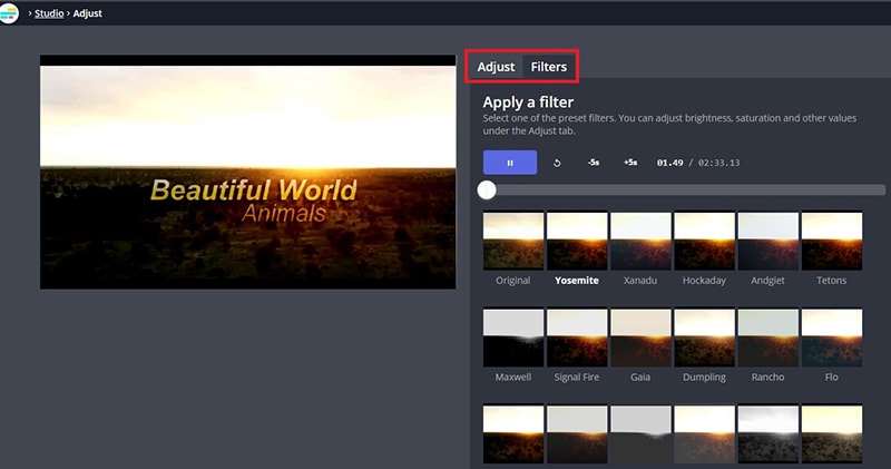 preview video filters kapwing