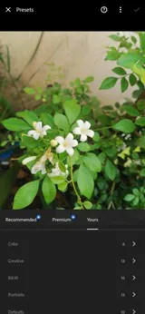 Voreinstellungen in der Lightroom-App