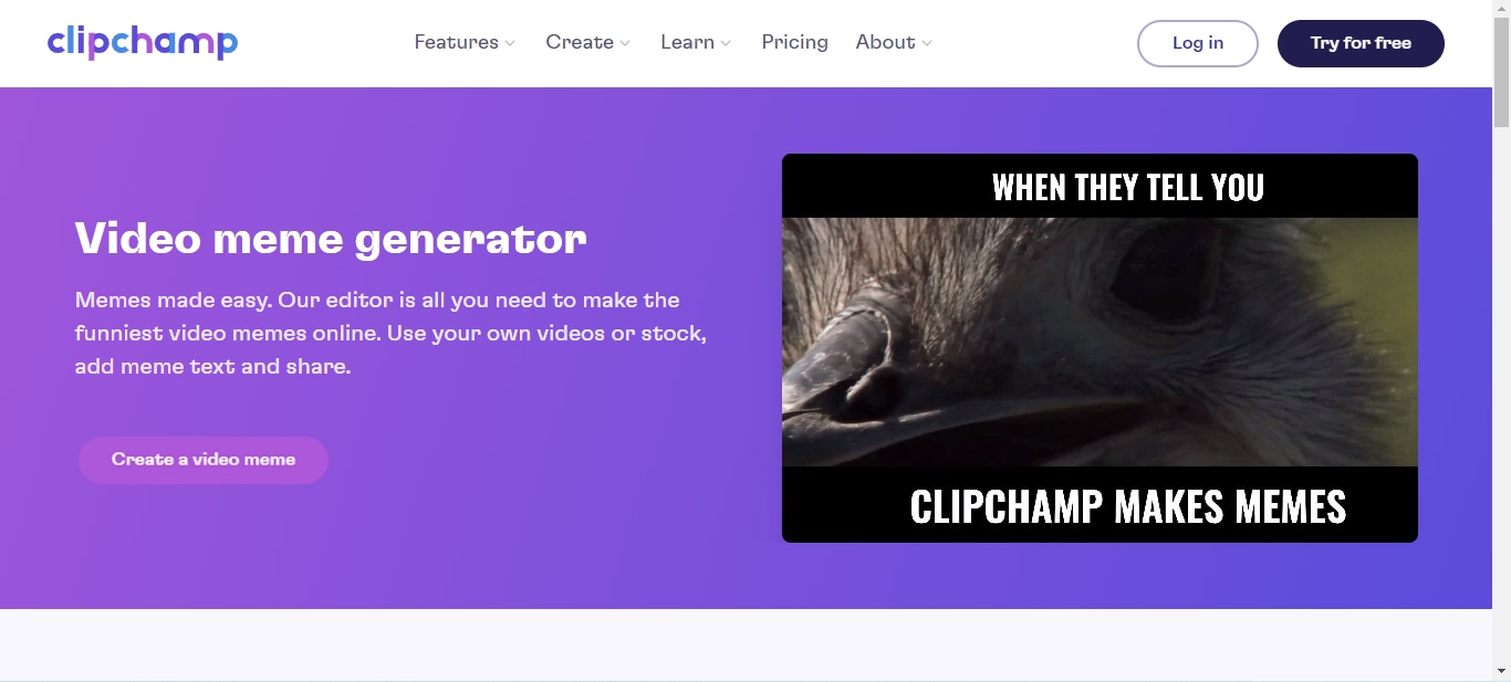 climchamp video meme generator